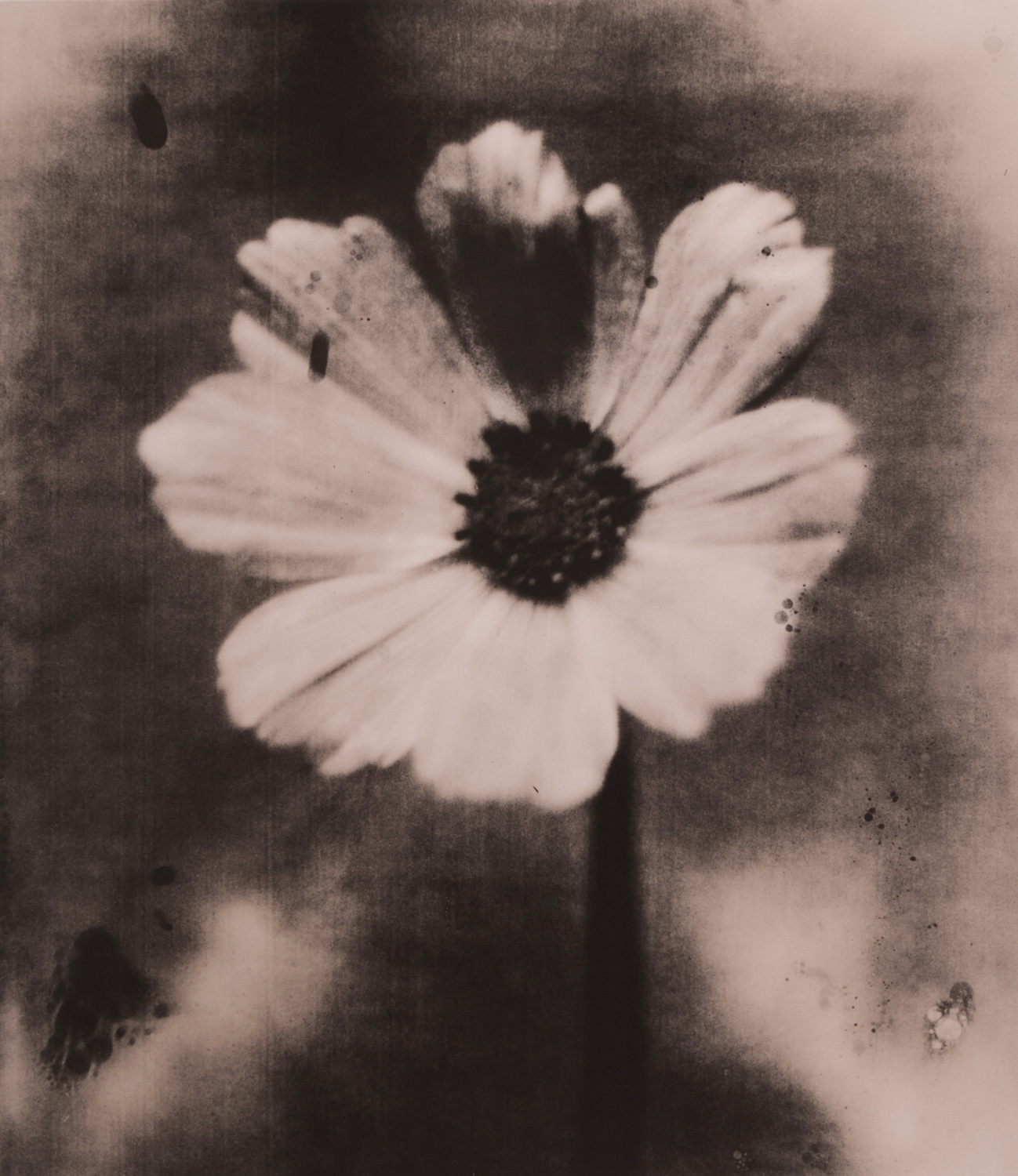 z cyklu bez tytułu, nr neg. 1046/16